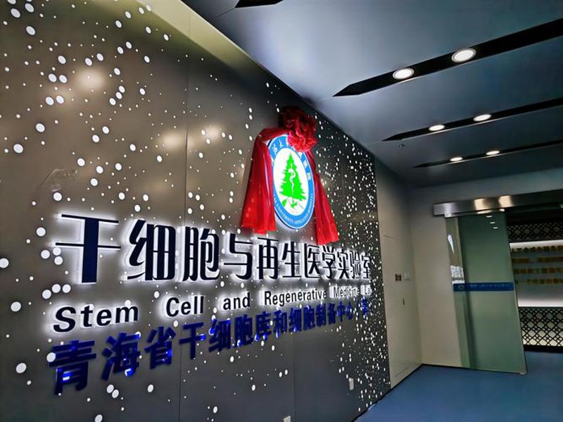 医学技术的研发：推动医疗行业创新的引擎