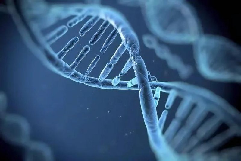 生物技术服务：创新引擎背后的驱动力